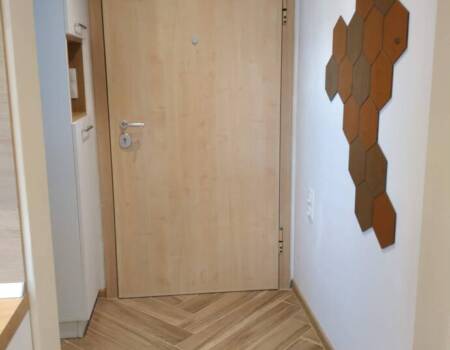 6 S Drujba